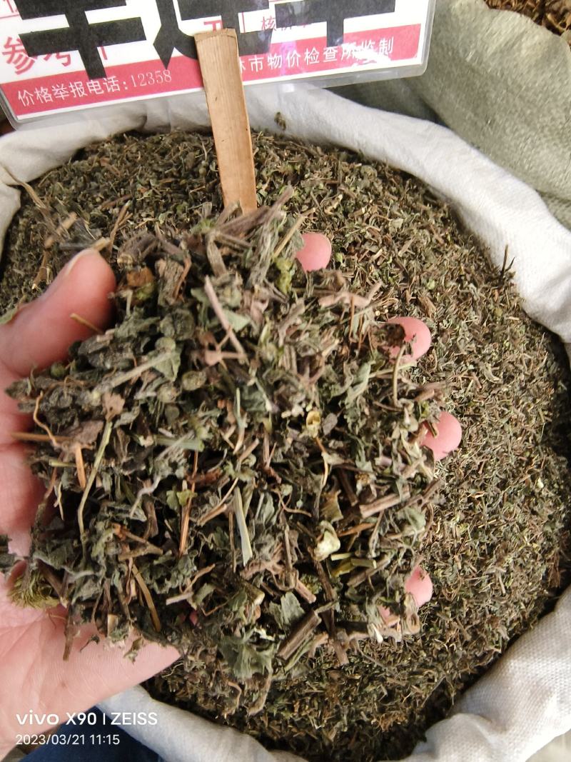 中药材旱莲草墨旱莲新货货源充足批发零售