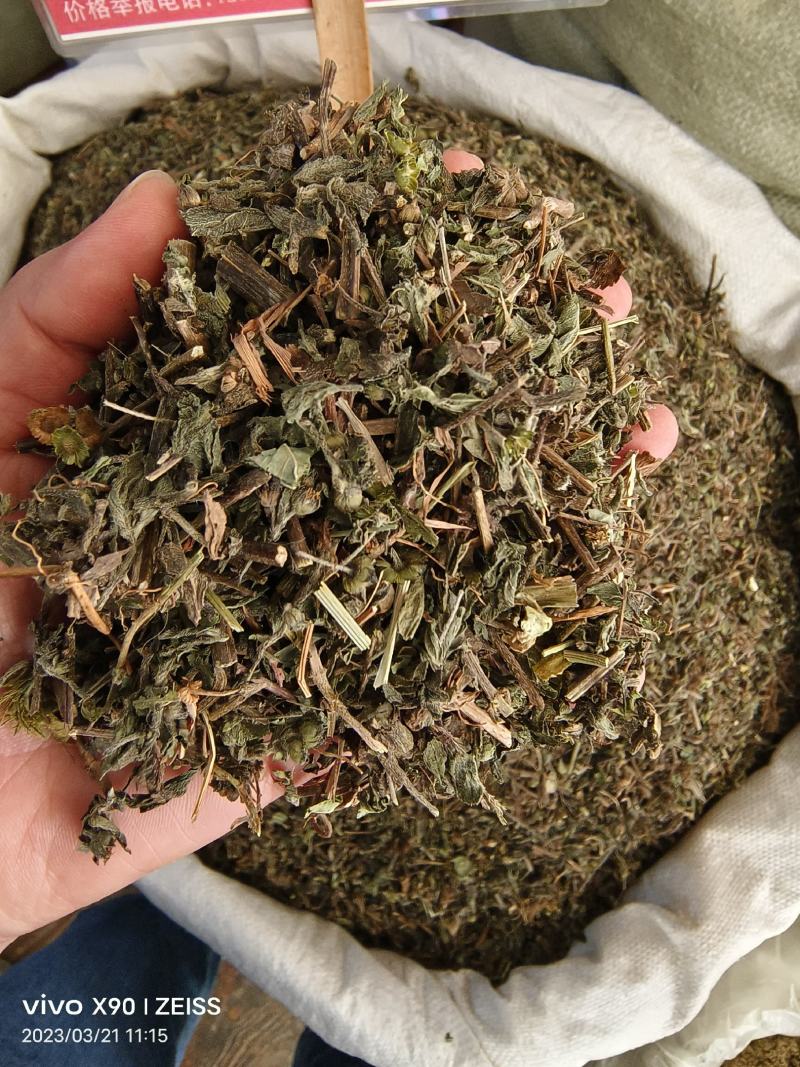 中药材旱莲草墨旱莲新货货源充足批发零售