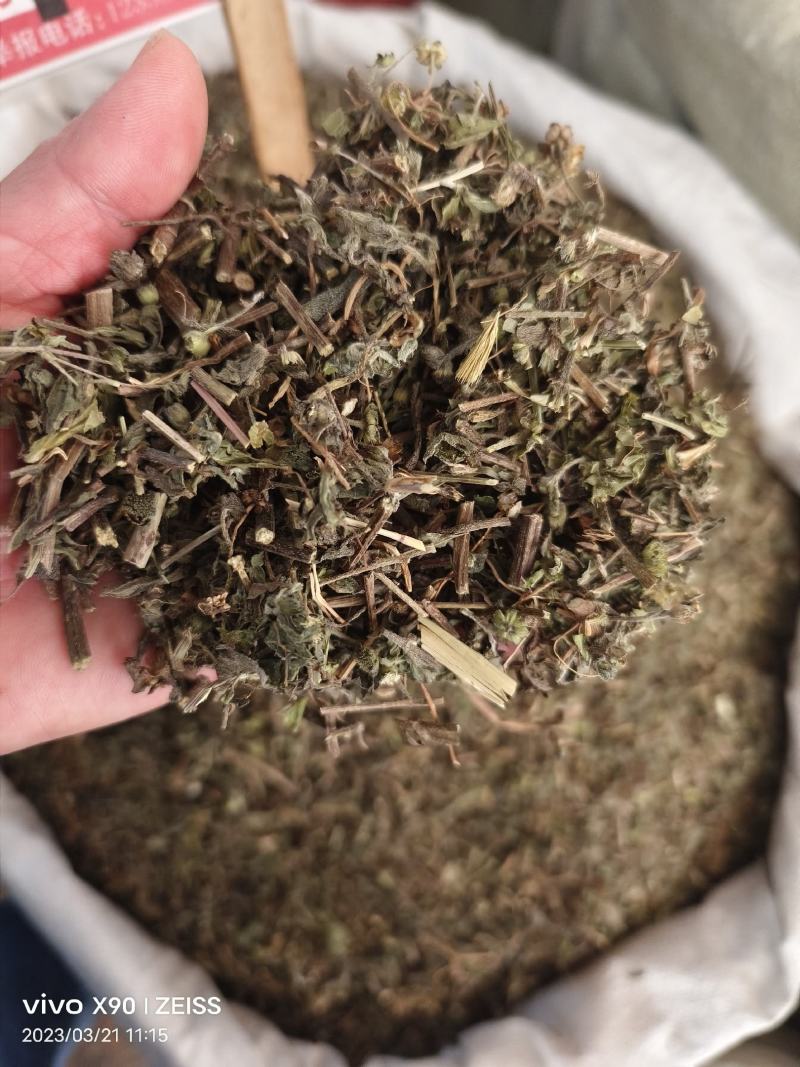 中药材旱莲草墨旱莲新货货源充足批发零售