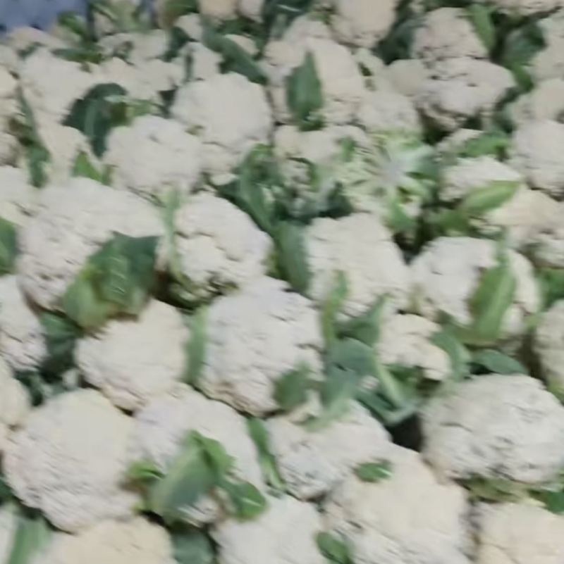 需要客户，诚信经营
