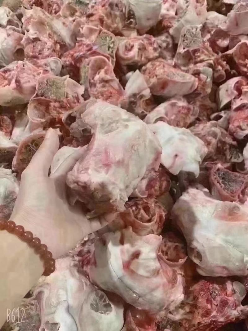 羊脑壳，大量加工现货，价格低，量大可议价