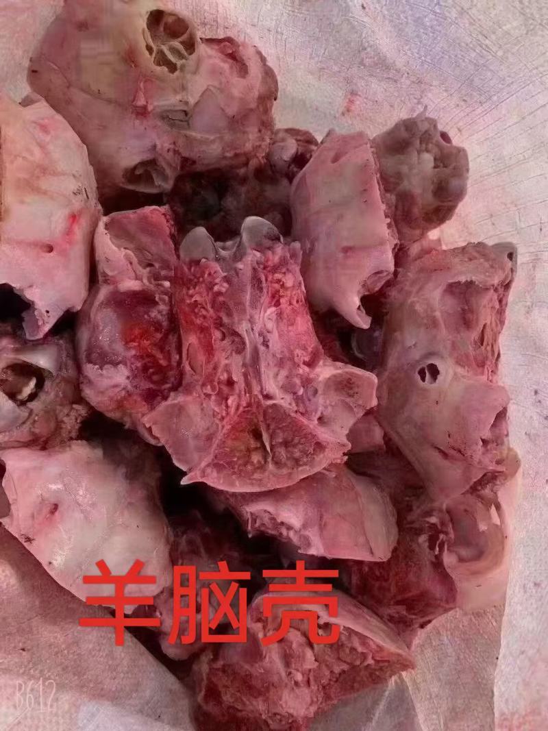 羊脑壳，大量加工现货，价格低，量大可议价