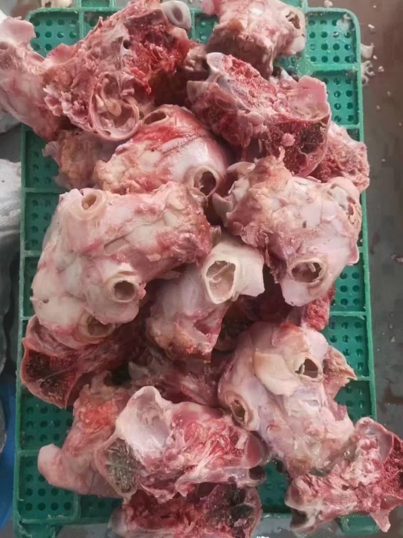 羊脑壳，大量加工现货，价格低，量大可议价