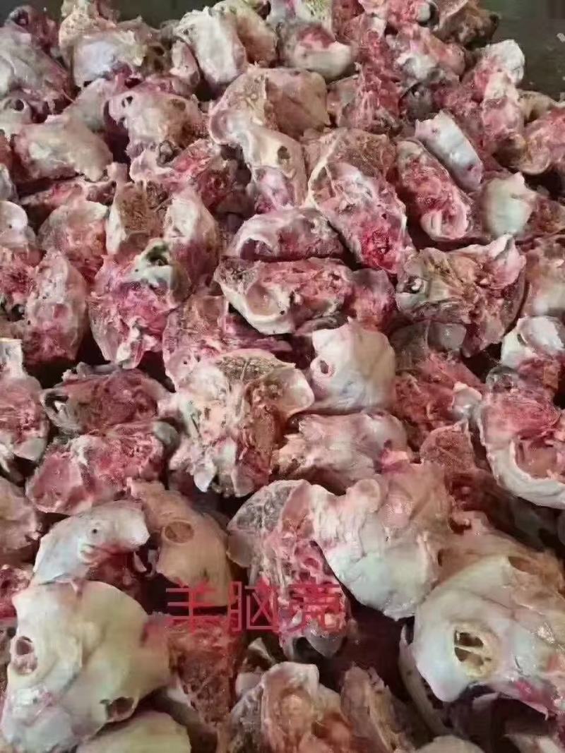 羊脑壳，大量加工现货，价格低，量大可议价