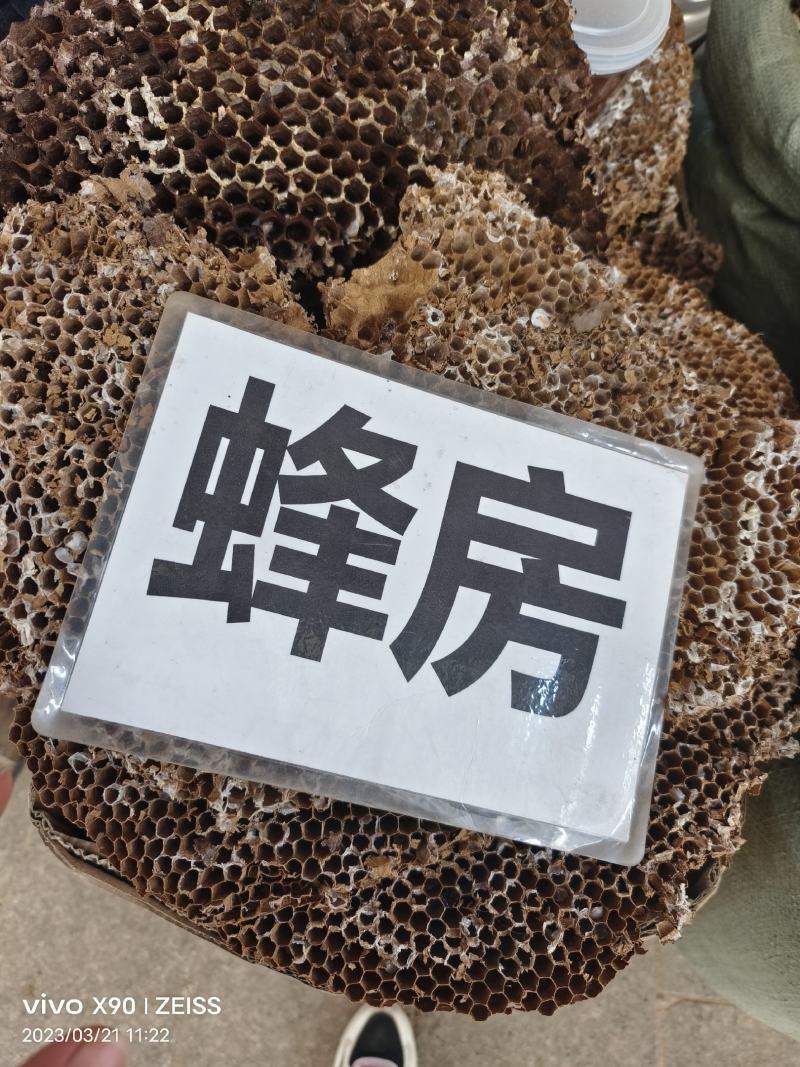 中药材蜂房货源充足批发零售欢迎咨询下单
