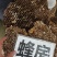 中药材蜂房货源充足批发零售欢迎咨询下单