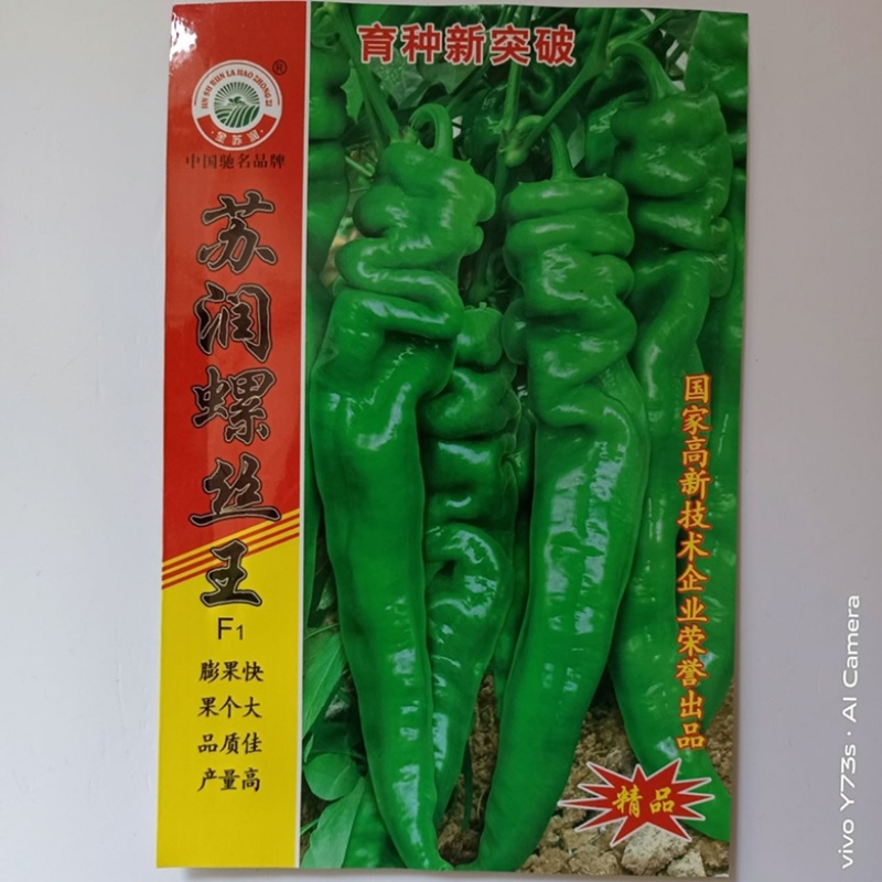 苏润陇椒螺丝椒种子杂交一代早熟品种种子辣味浓香品种