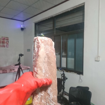 满肉龙骨