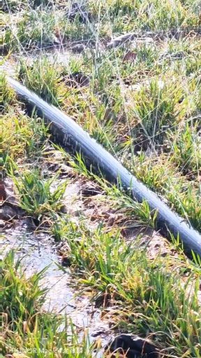 微喷带、农田浇灌水带！