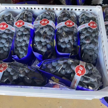 精品夏黑，品质**，果粉好，质量保障，量大从优，欢迎来电