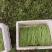 自产自销，二茬精品芦蒿