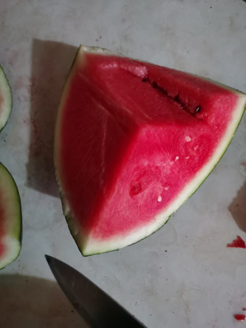 黑虎8号纯黑皮西瓜种子大果抗病不空心油黑亮有白色蜡粉