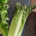 云南高海拔秋绿60麻叶青白菜精品蔬菜
