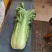 云南高海拔秋绿60麻叶青白菜精品蔬菜