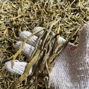 云南珍虫石斛_干货