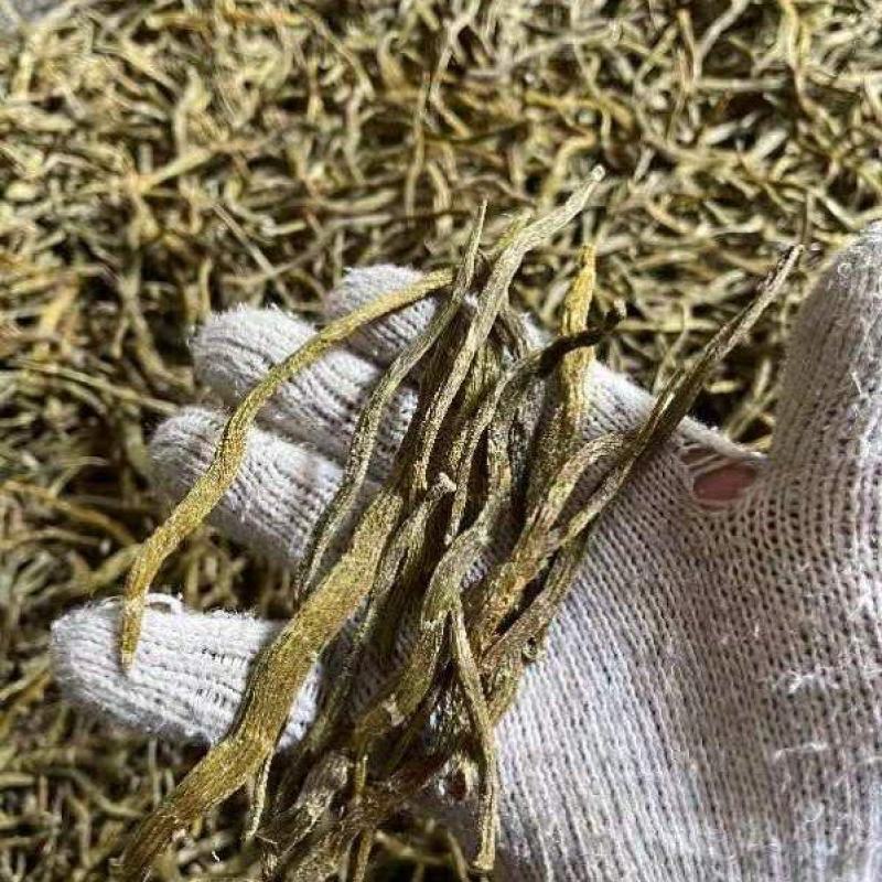 云南珍虫石斛_干货