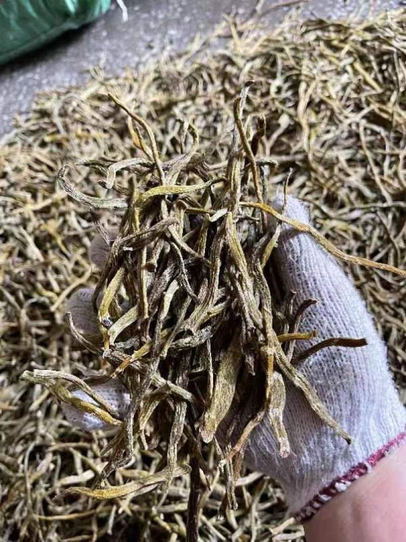 云南珍虫石斛_干货