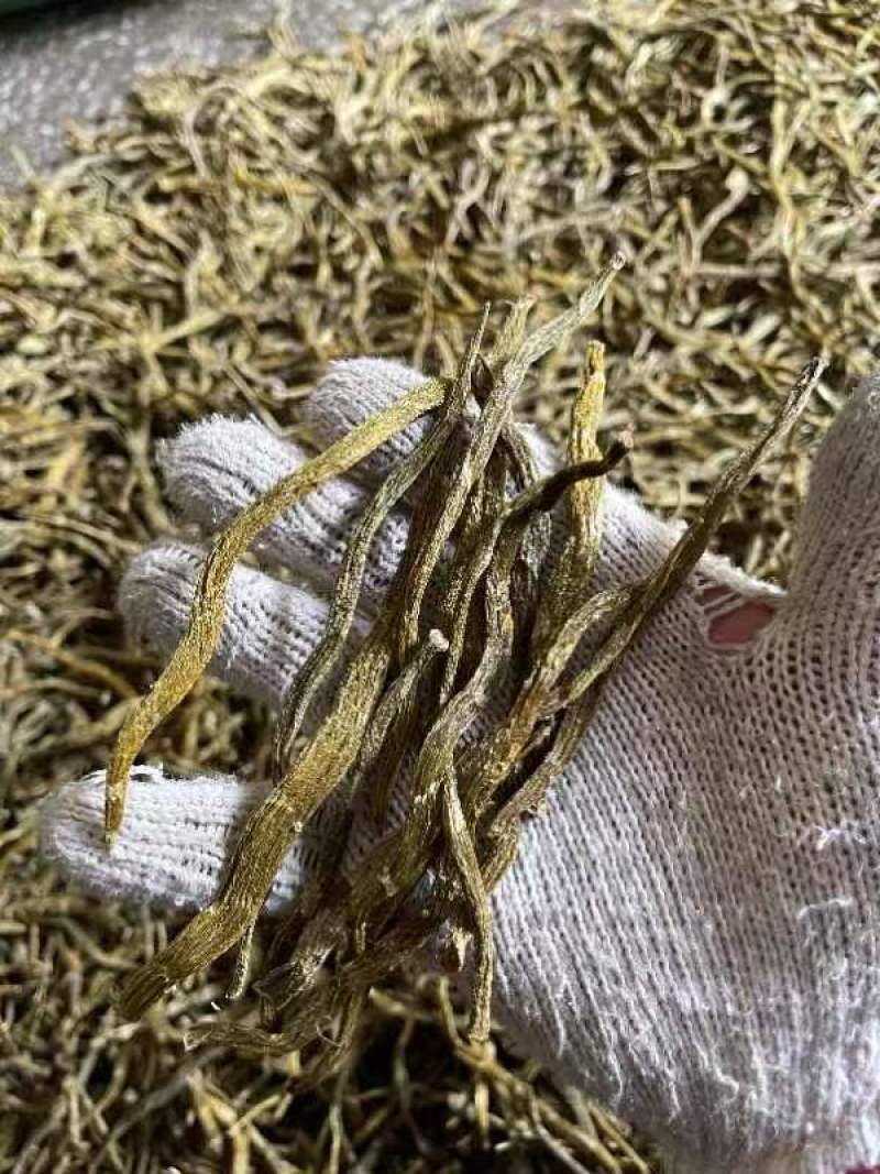 云南珍虫石斛_干货