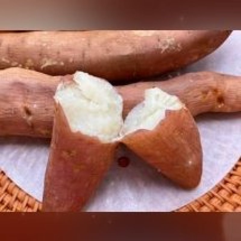白冰糖心哈密红薯苗