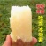 白冰糖心哈密红薯苗