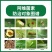 阿维菌素杀虫剂菜青虫白粉虱蛾类害虫潜叶蛾根结线虫红蜘蛛