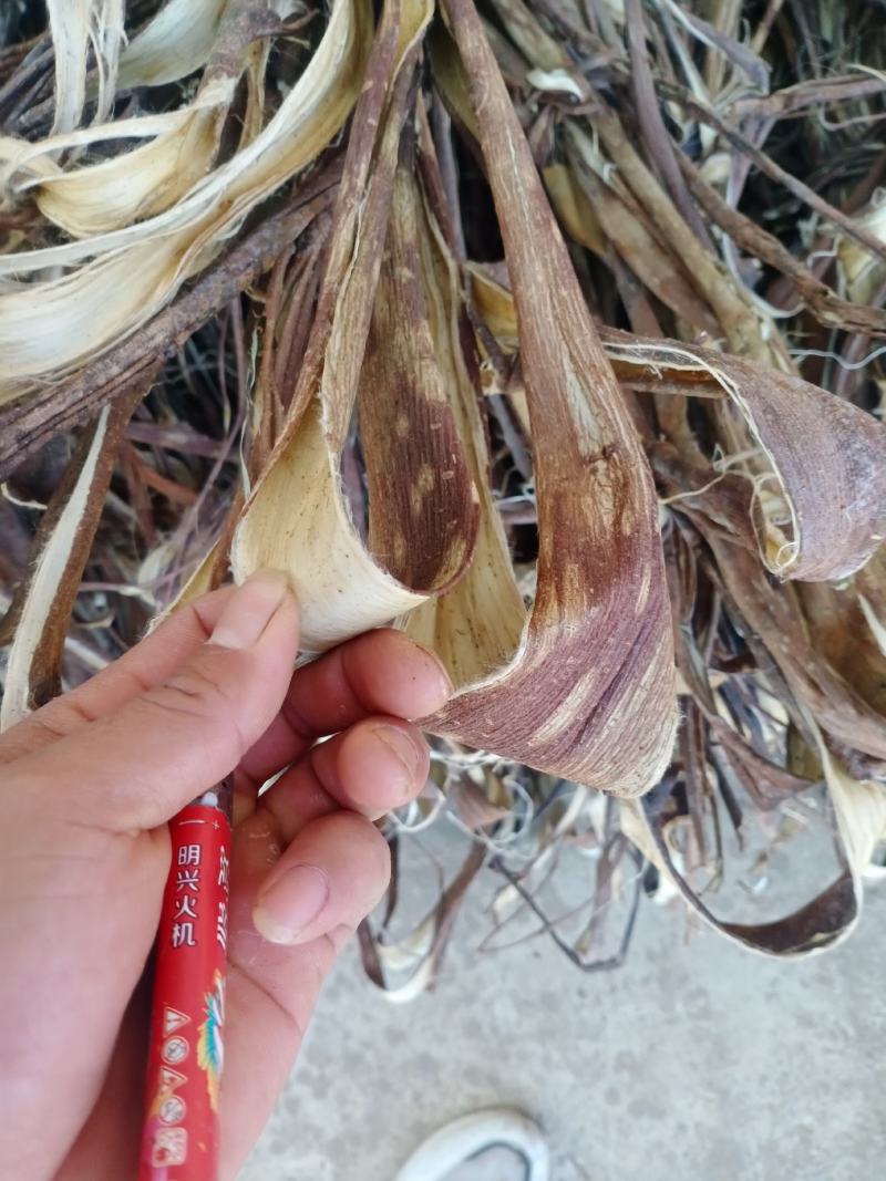 构树皮，桑皮，工艺品原料