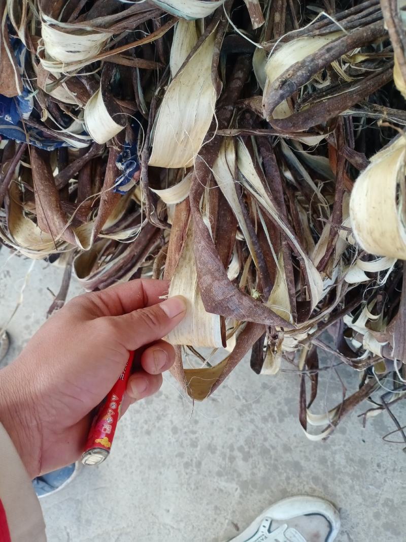 构树皮，桑皮，工艺品原料
