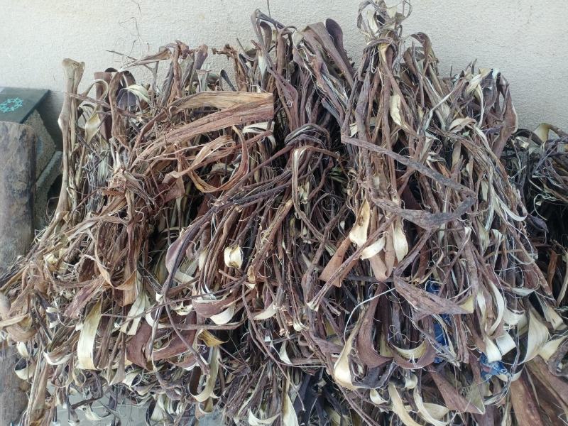 构树皮，桑皮，工艺品原料