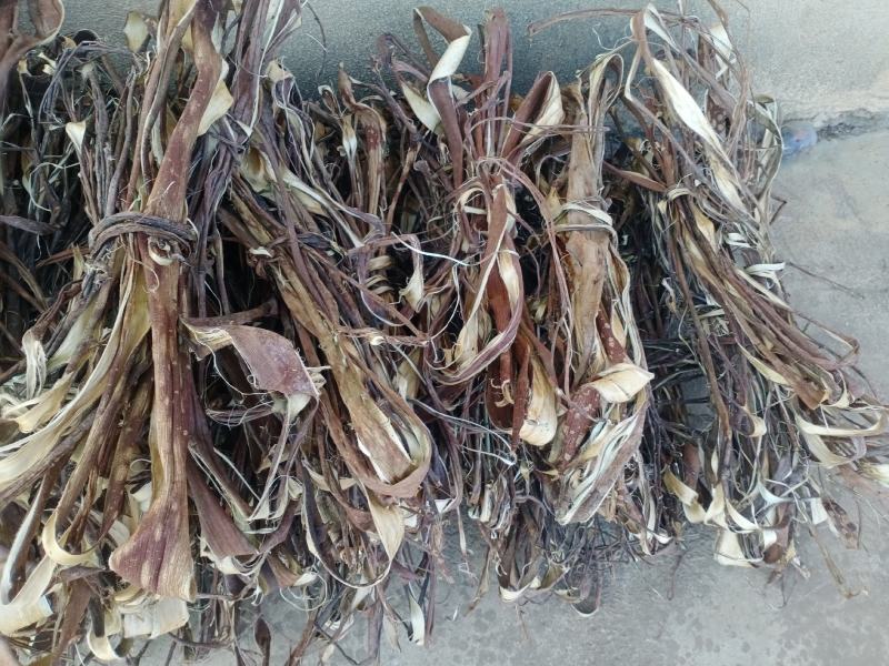 构树皮，桑皮，工艺品原料