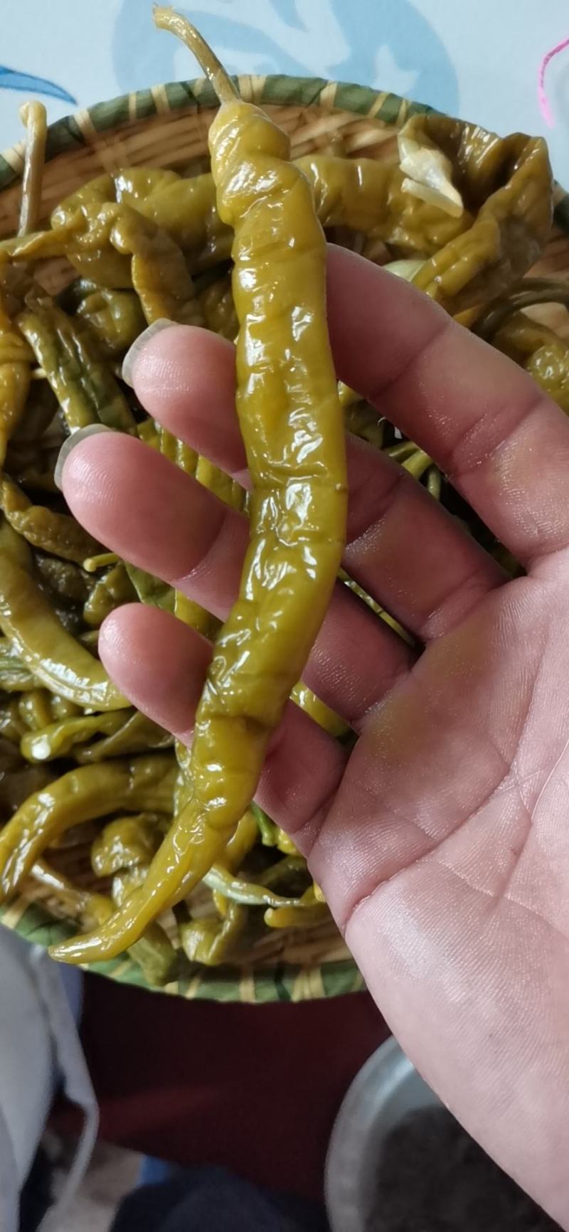 【泡菜】酸辣椒，泡辣椒买10吨送1吨，另外奖励3到5千元