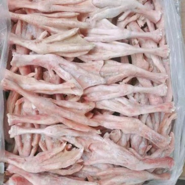 鸭掌