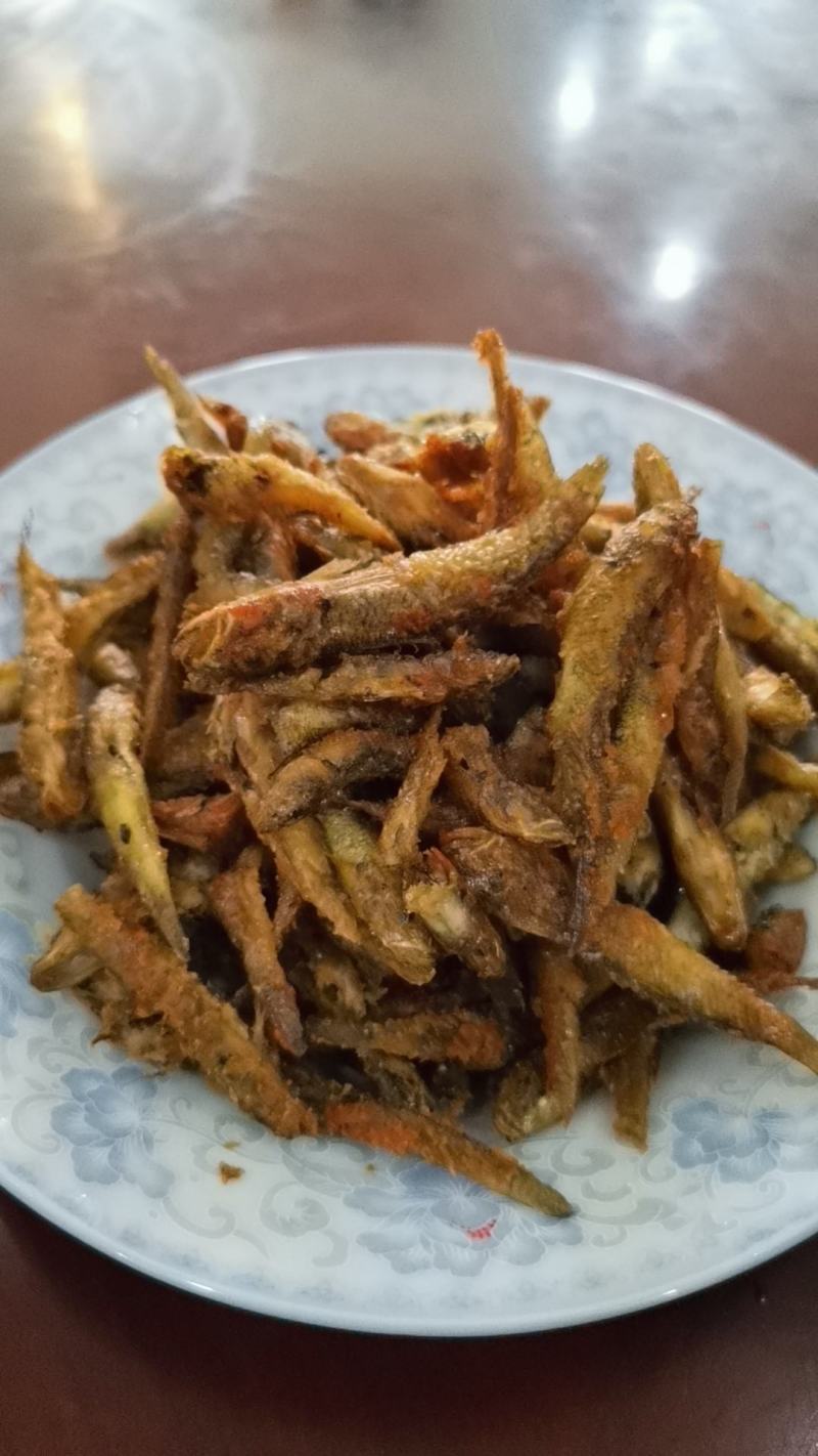 木头鱼趴地虎老虎鱼