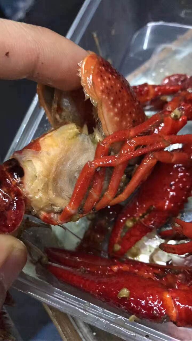 湖北清水速冻小龙虾，液氮速冻小龙虾全规格，工厂有保障！