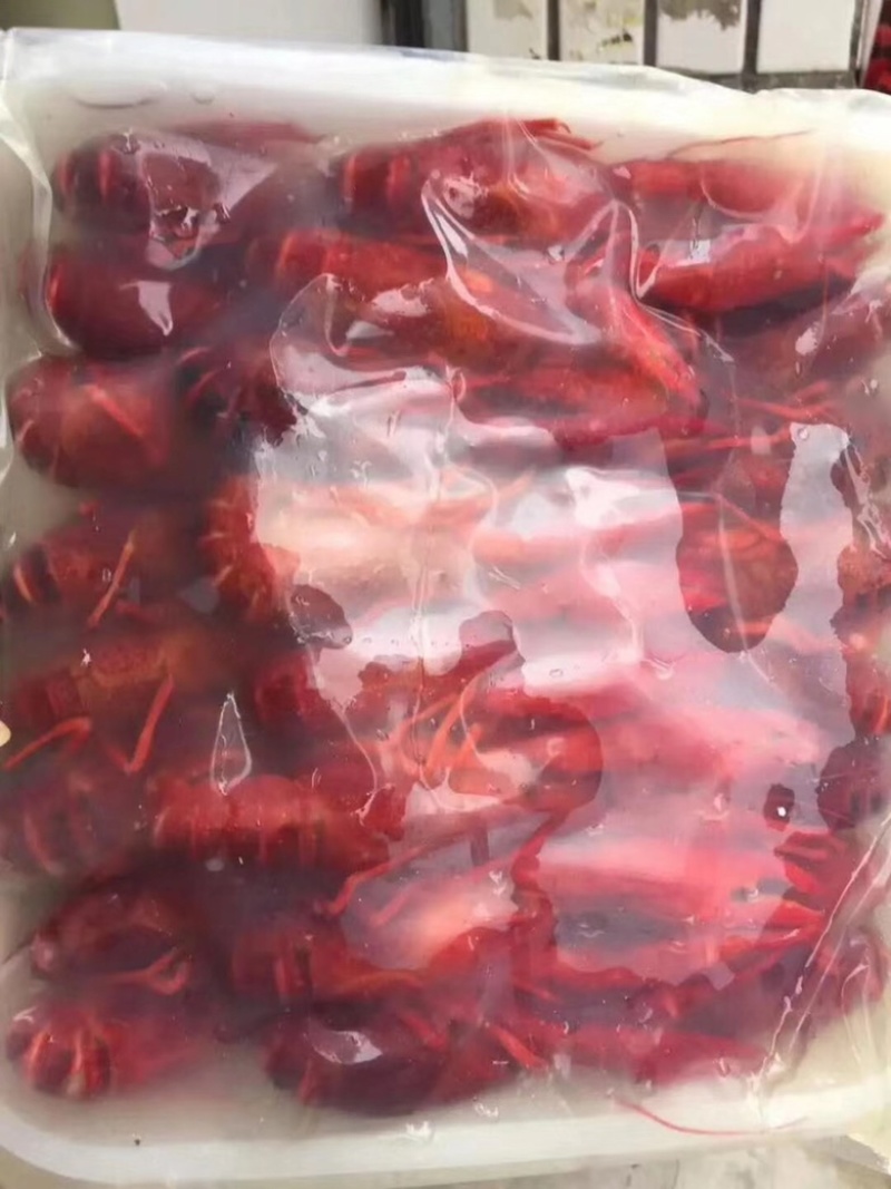 湖北清水速冻小龙虾，液氮速冻小龙虾全规格，工厂有保障！
