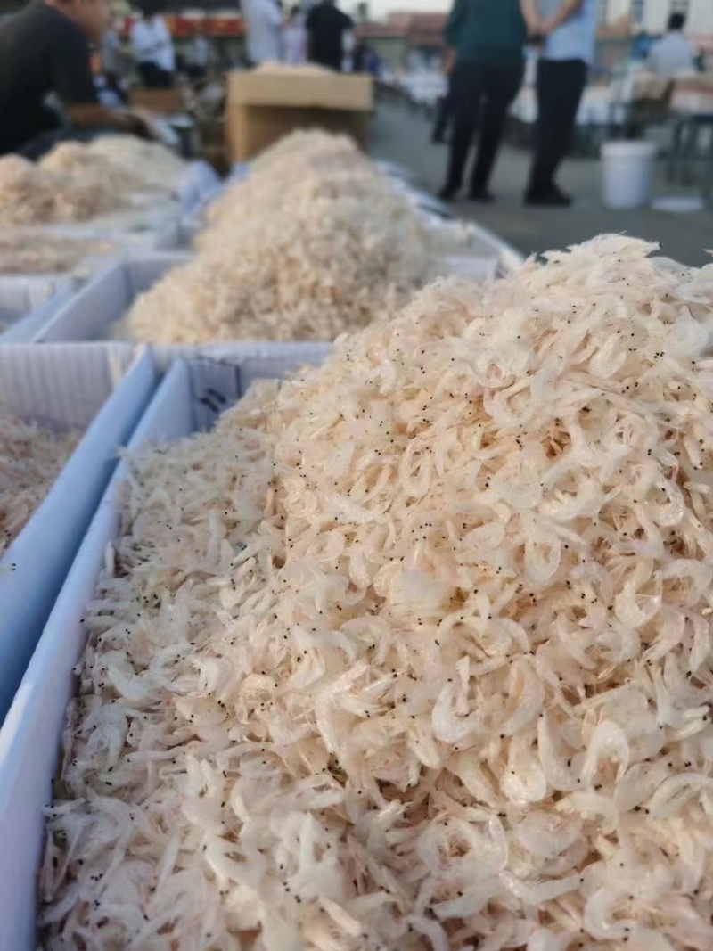 山东无盐淡干虾皮一手货源厂家直销资质齐全
