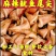 鱿鱼尾鱿鱼尖鱿鱼尾尖鱿鱼烧烤火锅食材鱿鱼筒花捞汁食材