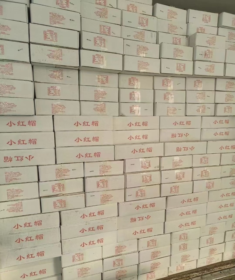 鱿鱼尾鱿鱼尖鱿鱼尾尖鱿鱼烧烤火锅食材鱿鱼筒花捞汁食材