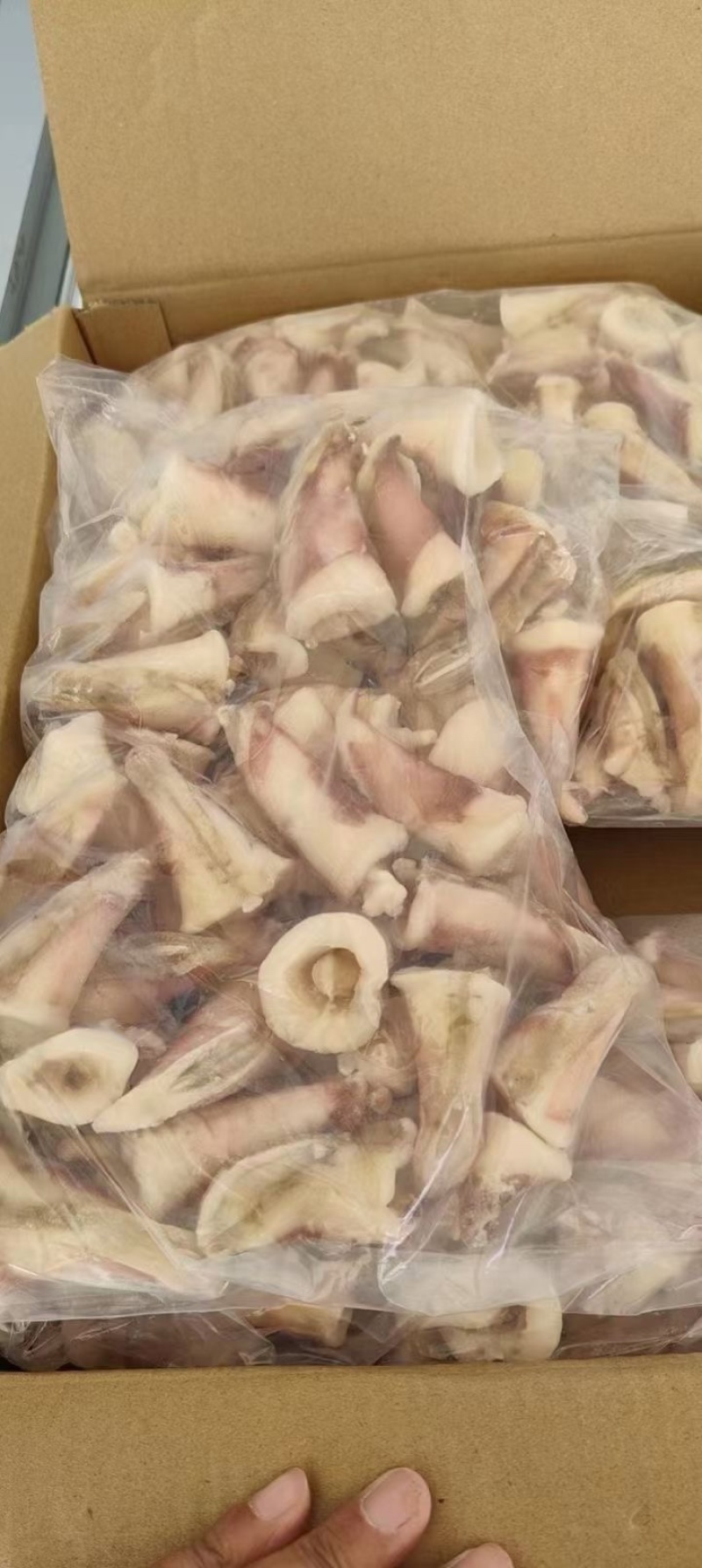 鱿鱼尾鱿鱼尖鱿鱼尾尖鱿鱼烧烤火锅食材鱿鱼筒花捞汁食材