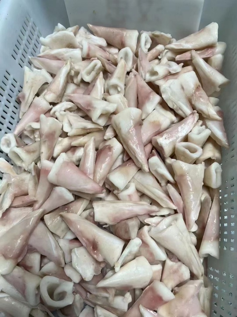 鱿鱼尾鱿鱼尖鱿鱼尾尖鱿鱼烧烤火锅食材鱿鱼筒花捞汁食材