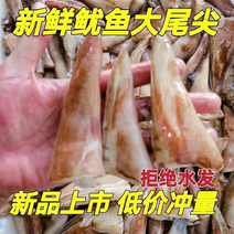 鱿鱼尾鱿鱼尖鱿鱼尾尖鱿鱼烧烤火锅食材鱿鱼筒花捞汁食材