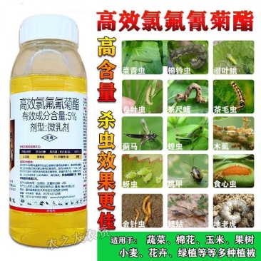 劲功5%高效氯氟氰菊酯菜青虫小菜蛾甜菜夜蛾蚜虫豆荚螟毛毛