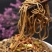 【牛商推荐】五香豆腐皮正宗农家卤豆腐皮口味醇香一手货源