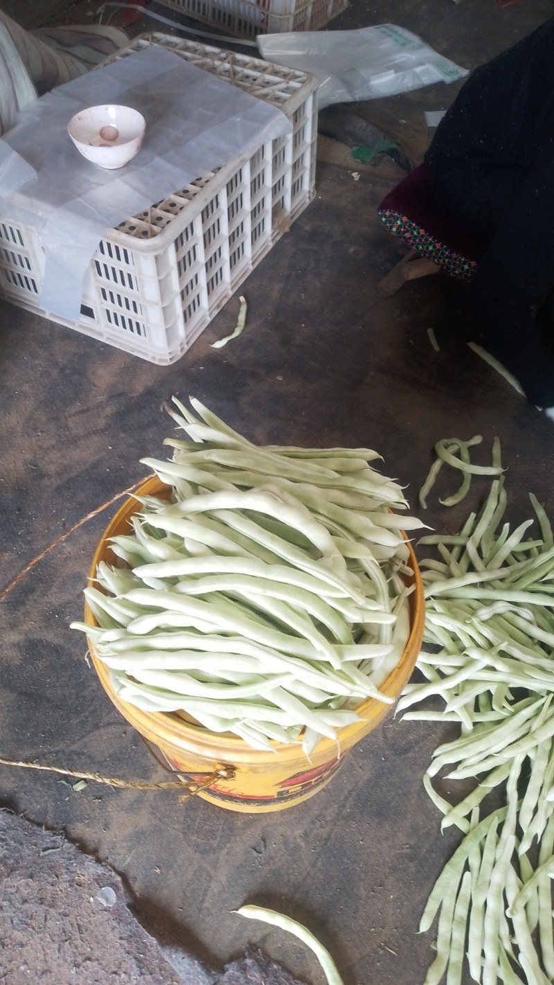 云豆