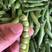 豌豆青豌豆白豌豆荚大量上市，产地直发，量大从优