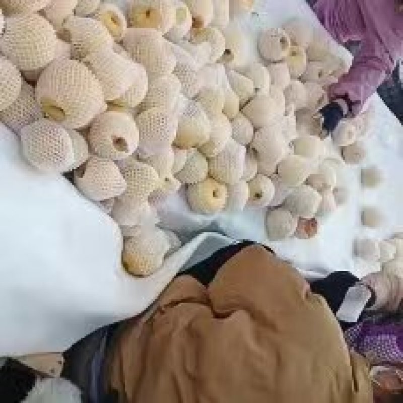 安徽砀山酥梨大量供应，核小无渣口感酥翠，代发全国。