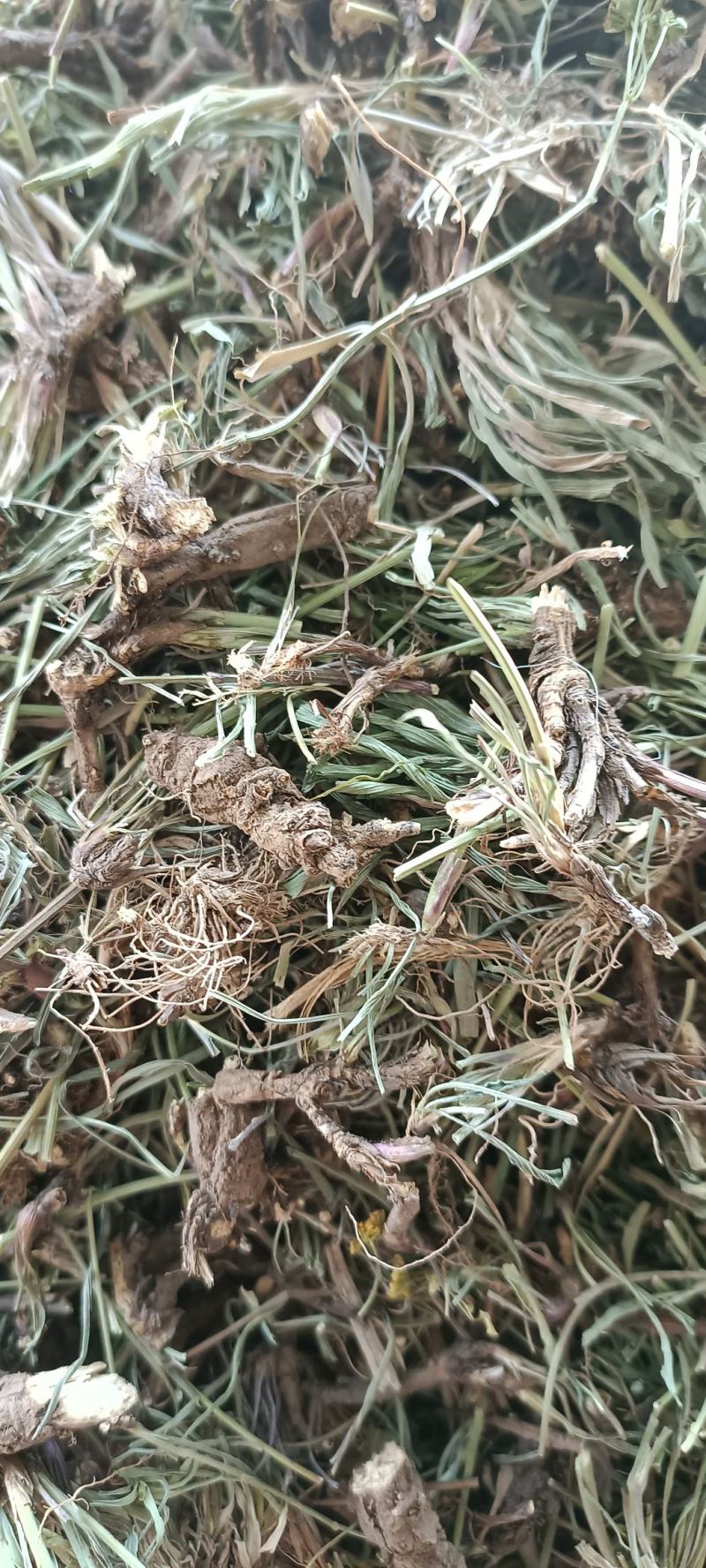 青海柴胡，手选柴胡个，足斤足量，质量保证，欢迎选购