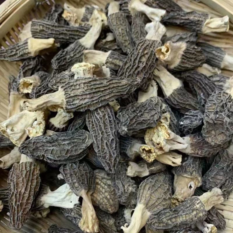 【推荐】精品羊肚菌鲜货产地批发大量供应品质保证