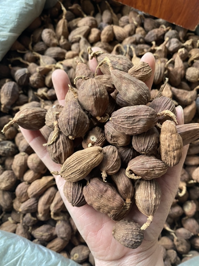 草果当年新货足干玉林香料批发价格美丽品质保障