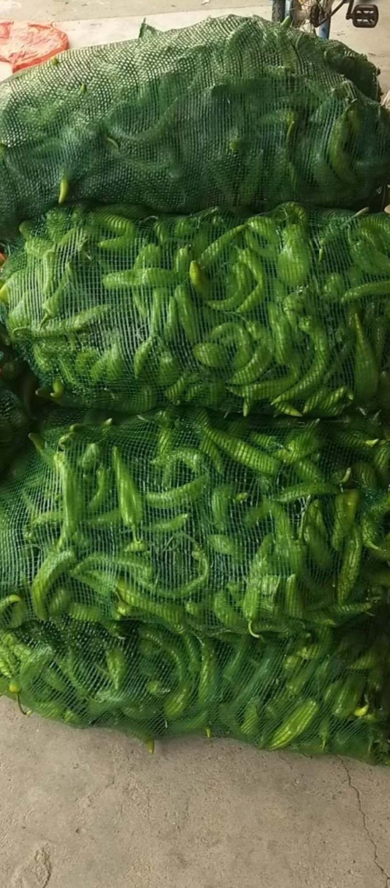 次品大量有货，新鲜的，当天货