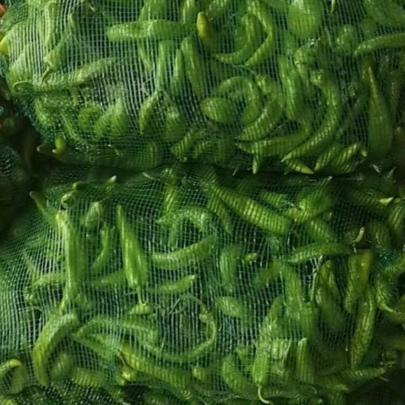 次品大量有货，新鲜的，当天货
